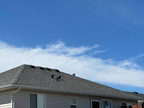 Best Flat Roofing  in North Sioux City, SD